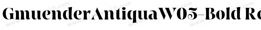 GmuenderAntiquaW05-Bold Regular字体转换